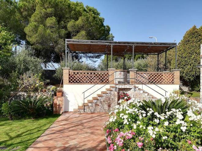Avocado bed breakfast & beyond
