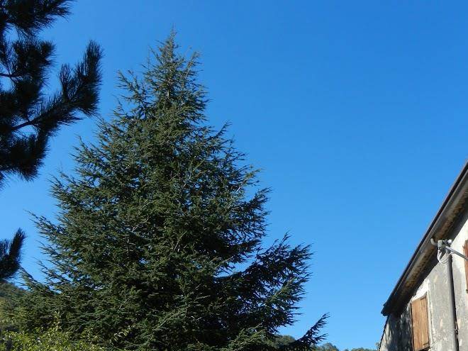 L'eremo du zu' paolo