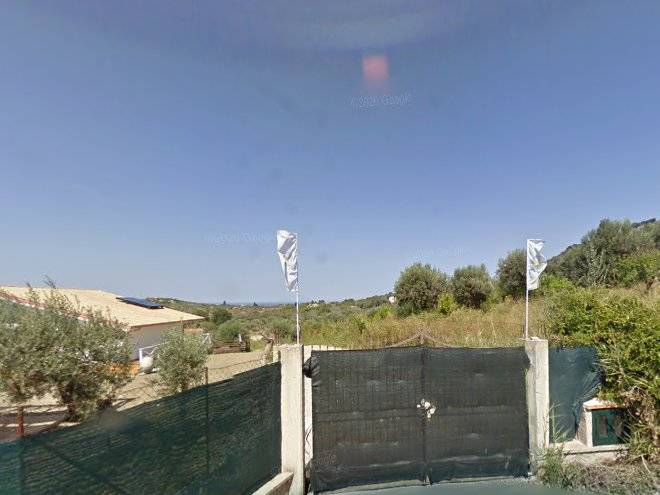 La gabbianella e il gatto