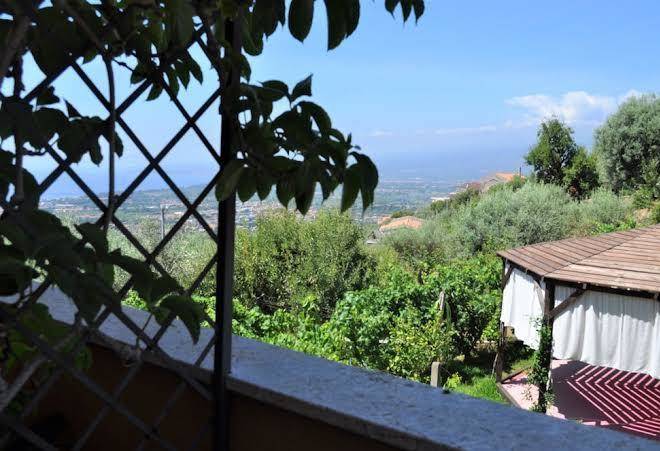 The lemon tree