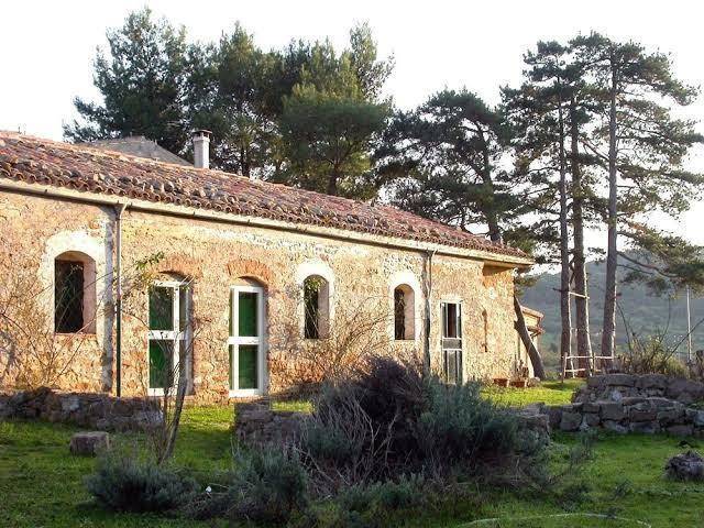 Agriturismo bosco pianetti