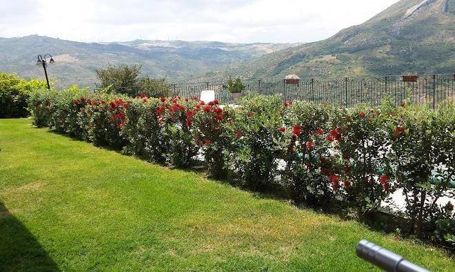 Azienda agricola rocca di mezzogiorno