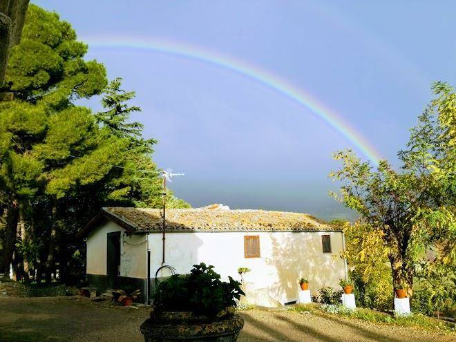 Fiandaca attilio