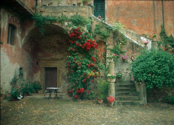 Gangivecchio