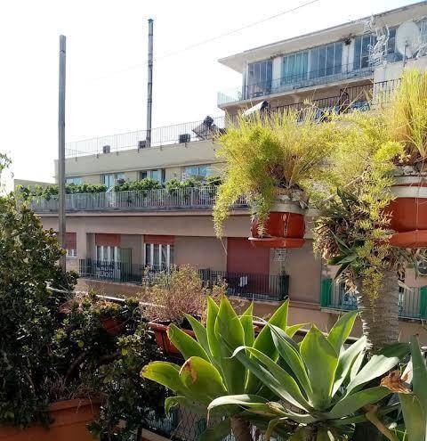 Ariston hotel