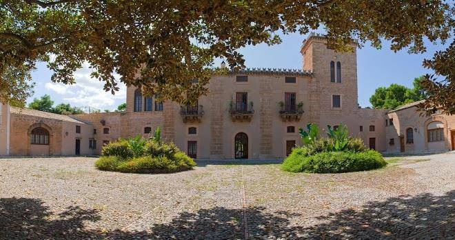 Il glicine la piana dei colli