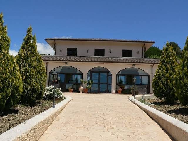Il noce antico