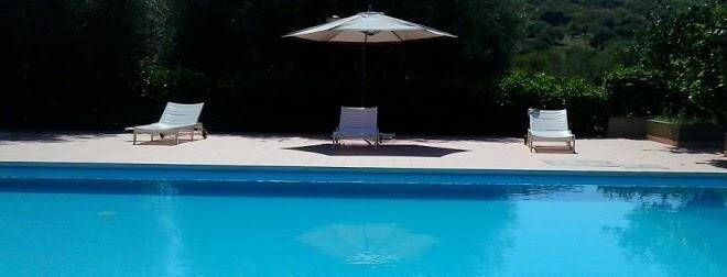 Il sole e la margherita