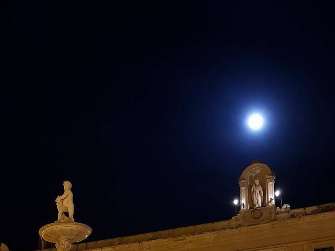 B&b antica palermo