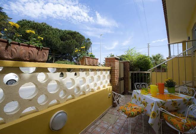 B&b fiori gialli caucana