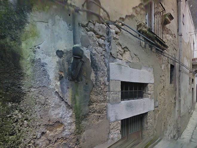 Il corbezzolo