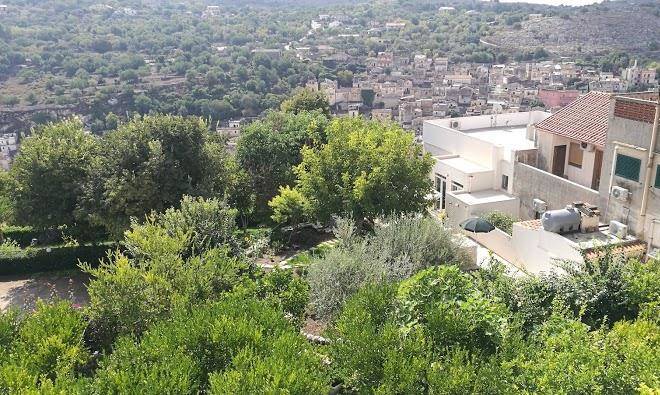 Il giardino dei mandarini