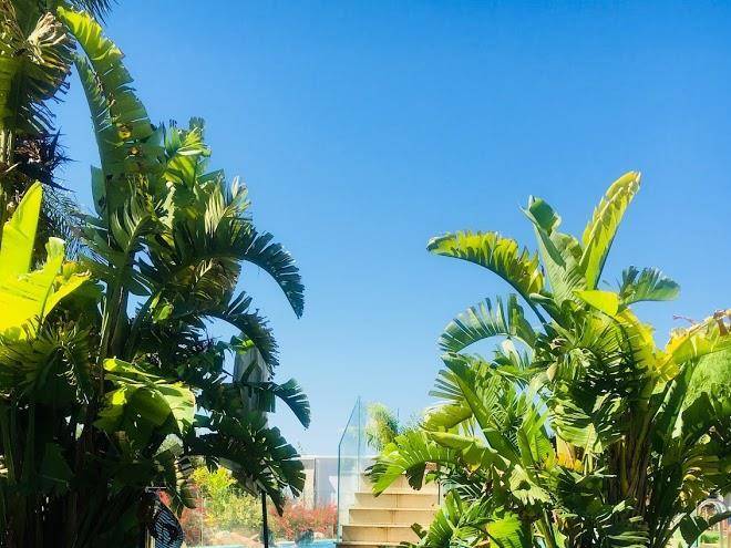 Saija resort