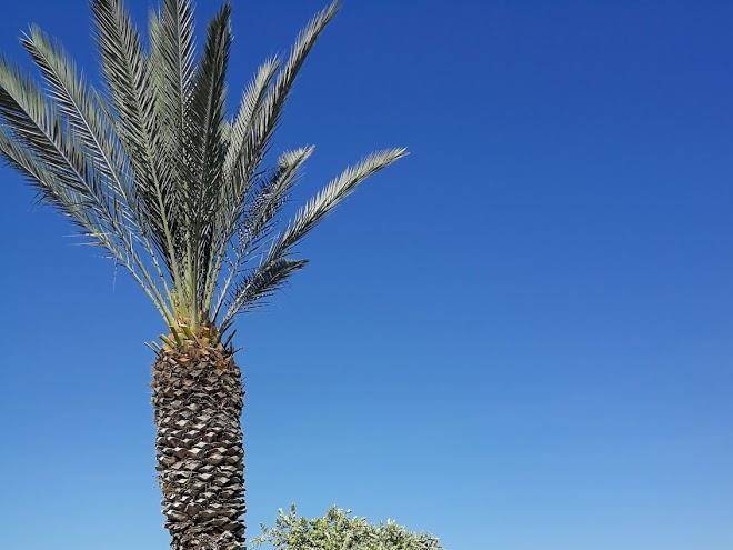 Agriresidence Valle Degli Dei Image