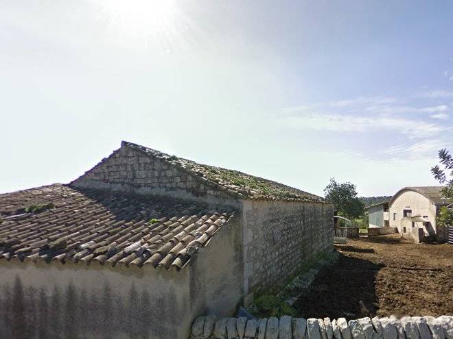 Antico carrubo