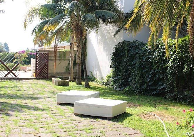 Cuore Di Palme Siracusa Image