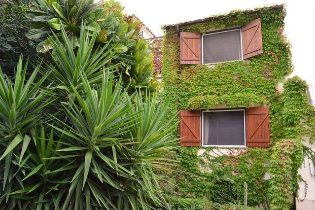 Eurialo green suites