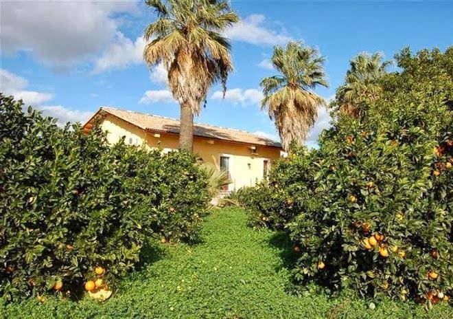 Il giardino del sole