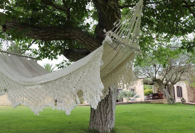 Tenuta Aguglia Image