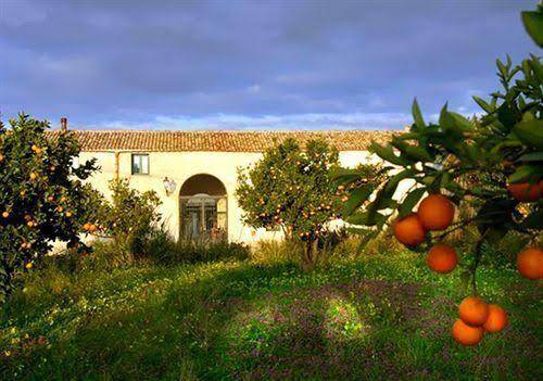 Angimbe relais