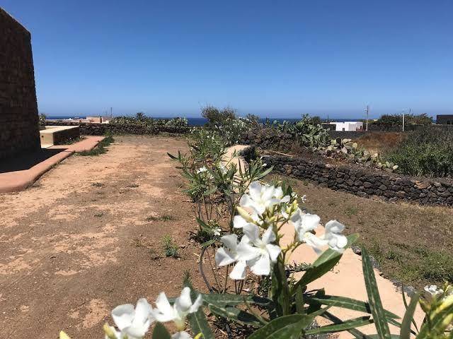 I dammusini pantelleria