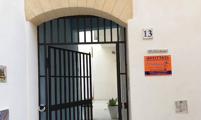 Il gabbiano 2