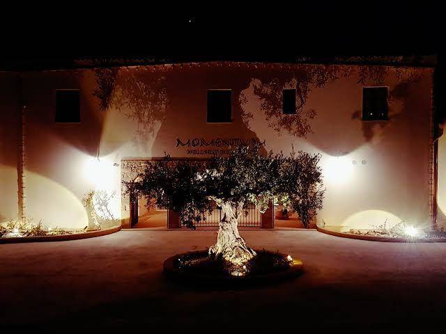 Momentum resort