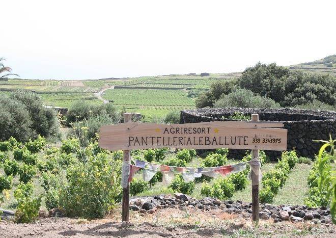 Pantelleria agriresort le ballute b&b agriturismo