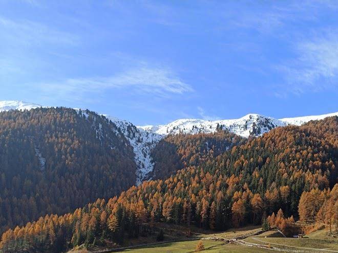 Agriturismo wastlhof