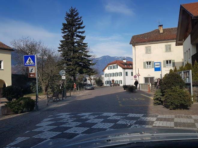Albergo albero verde
