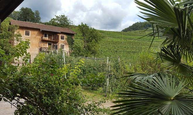 Albergo kreithof
