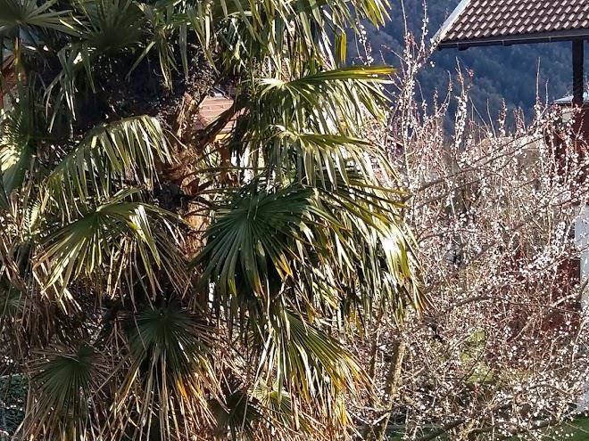 Albergo meranblick