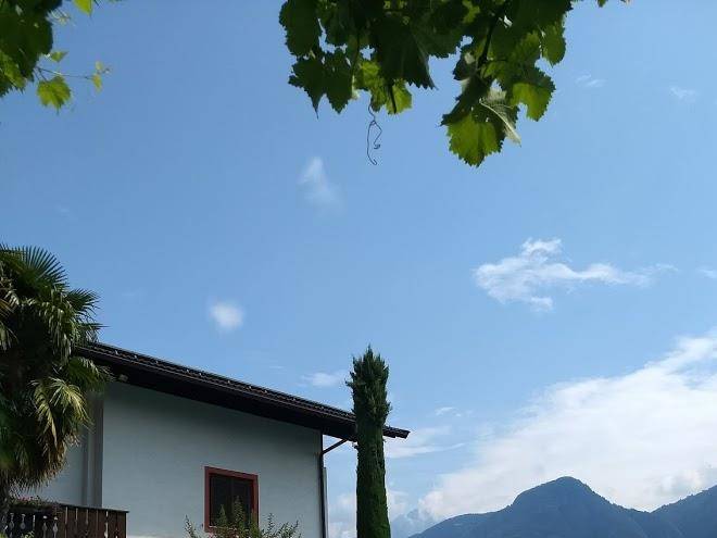 Albergo ortgut