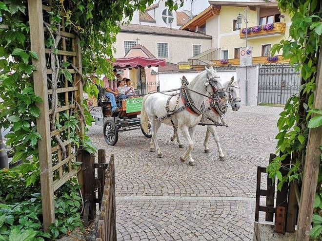 Albergo ristorante pizzeria sterzingerhof