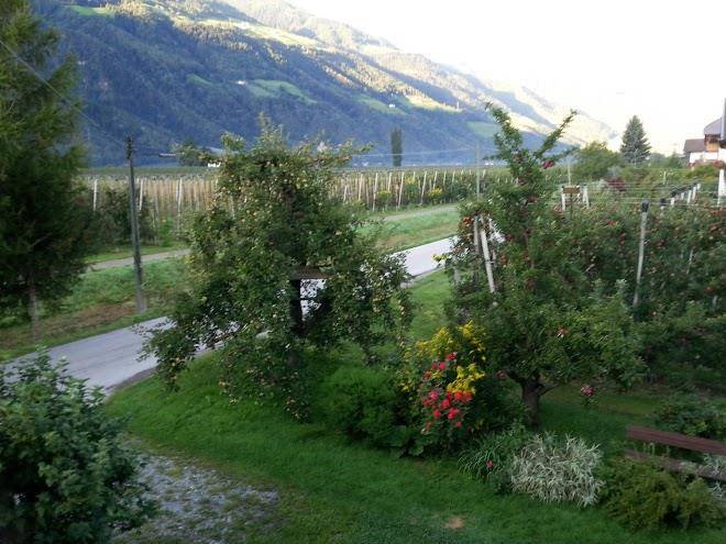 Albergo ulrichshof