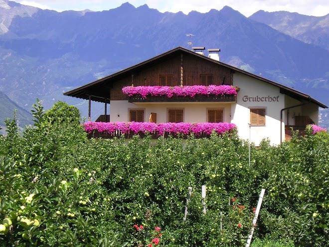 Gruberhof burgstall urlaub auf dem bauernhof