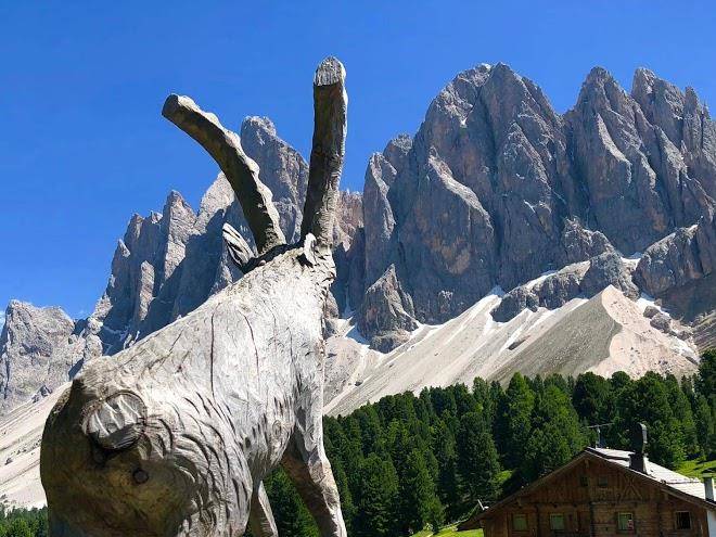 B&b l'arca di noe