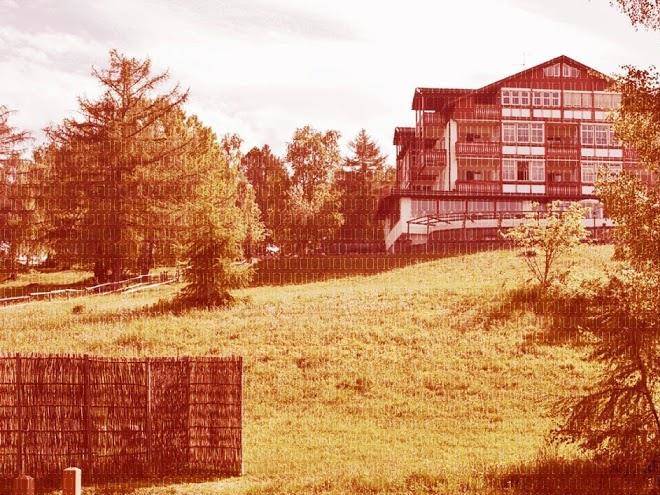 Berghoferin