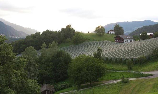 Agriturismo biolandhof hanig