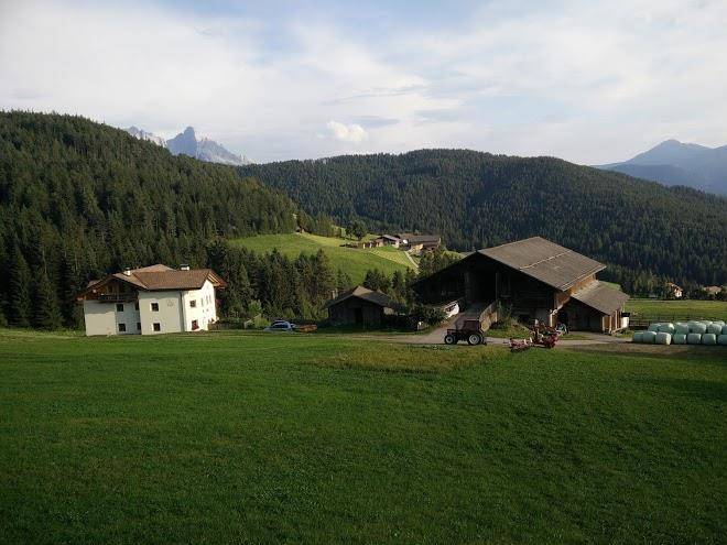 Garni Waldpeter Image