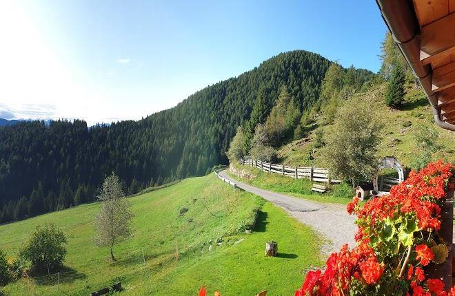 Haflingerhof