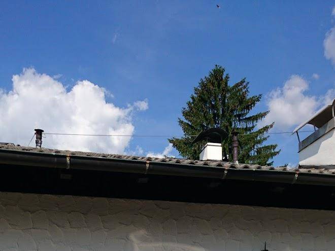 Haus gilli