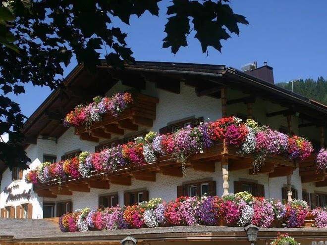 Hotel restaurant pizzeria mooserhof