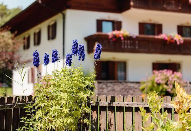 Hotel waldsee