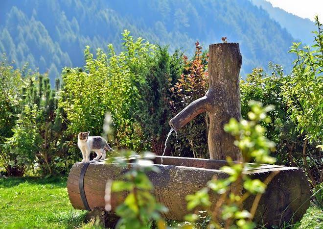 Huberhof vals