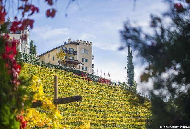 Hundehotel mair am ort