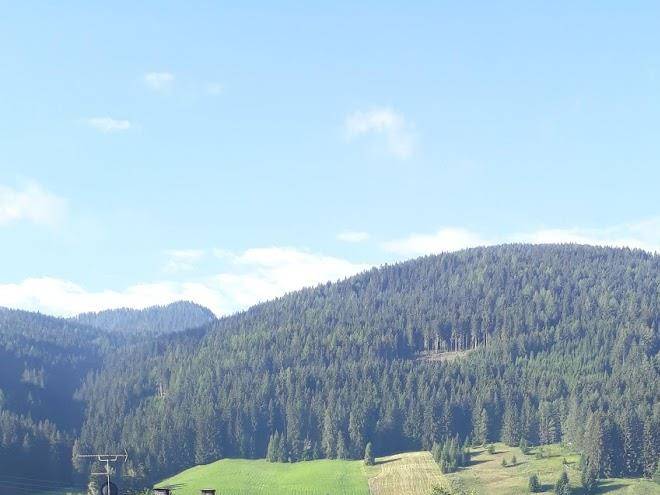 Mairhofer rudolf
