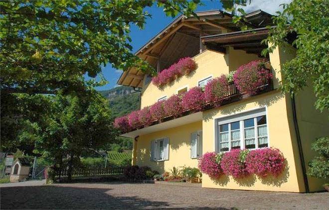 Mandlhof