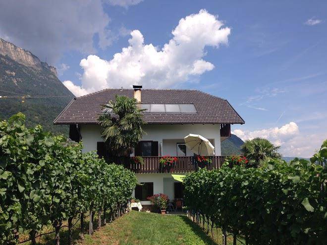 Morandell Erich Image