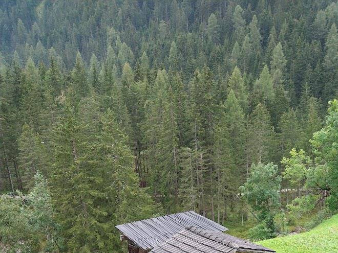 Pension friedl